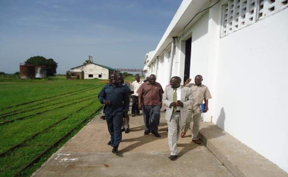 Agriculture Consulting
